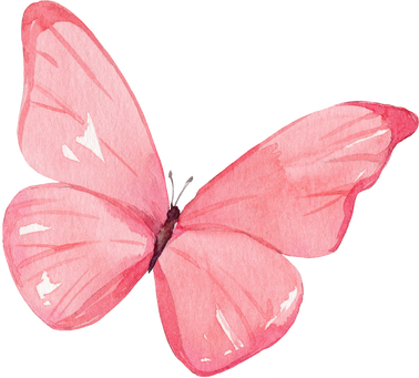 Watercolor Illustration Of The Pink Butterfly